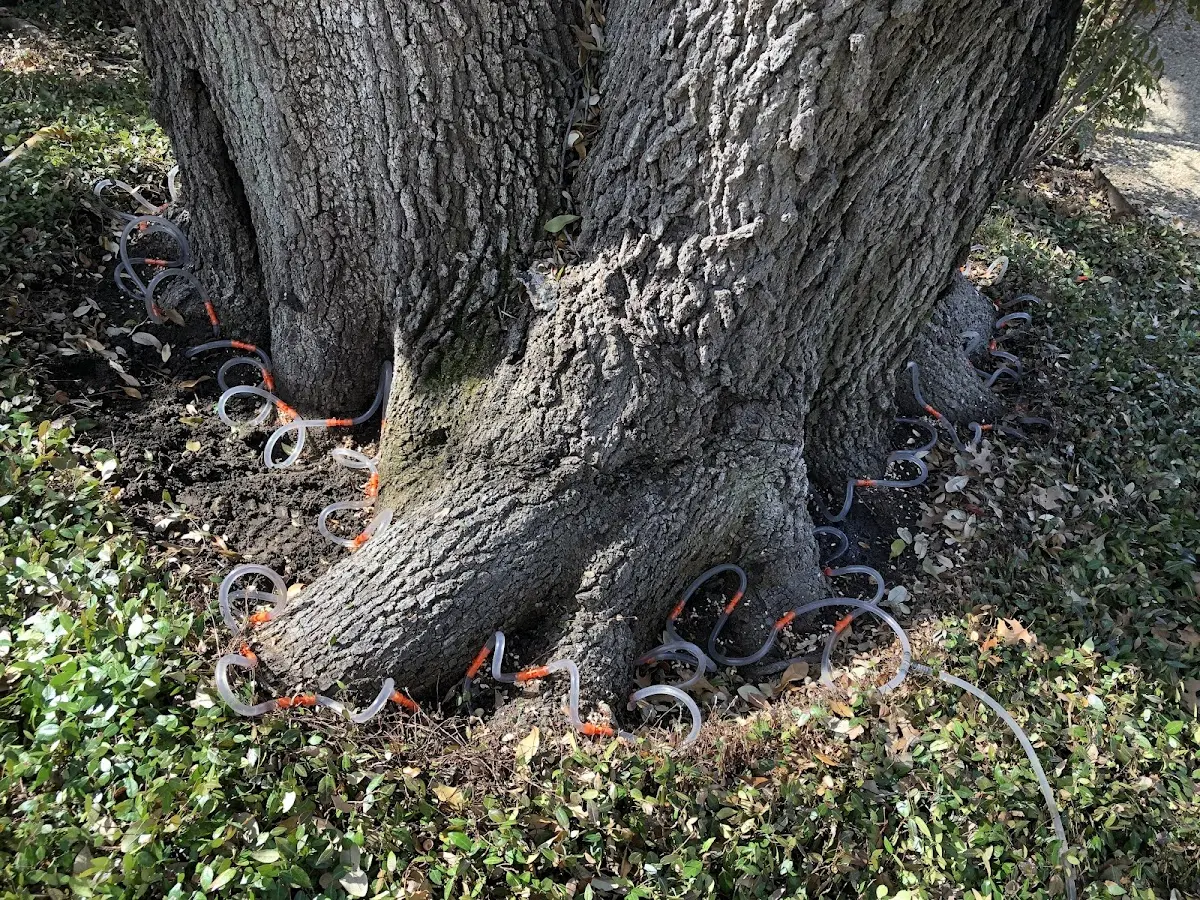 Detailed Shrub and Hedge Trimming job site in Pontotoc