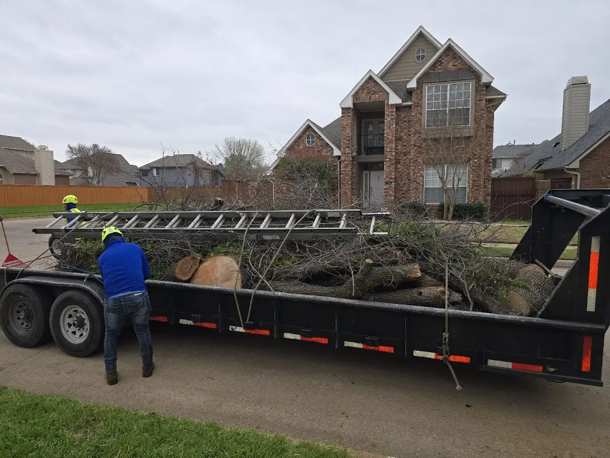 Expert Tree Removal with proper safety equipment in Pontotoc